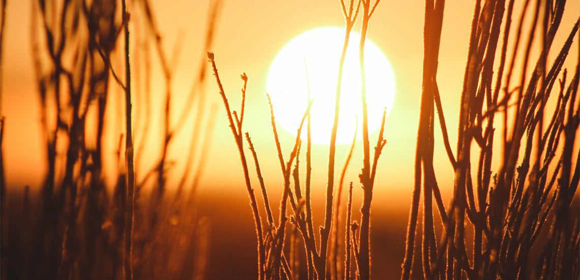 Staying More Towards Any Pole is Healthier and Hence Prosperous.